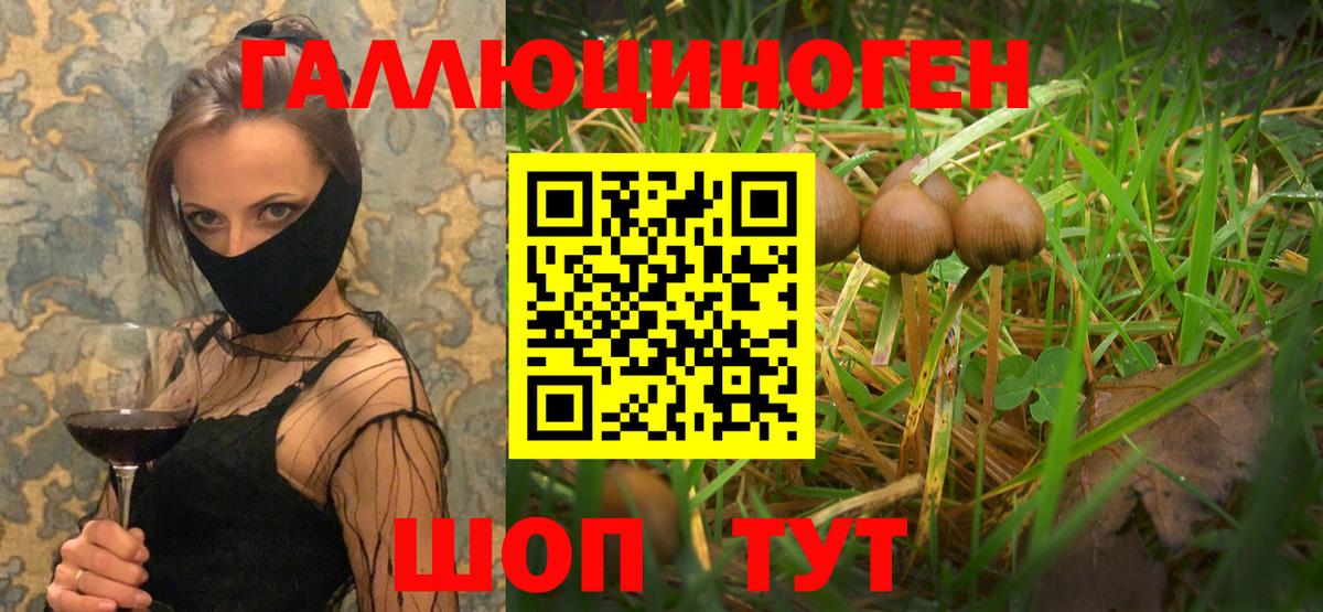 Галлюциногенные грибы Cubensis Усть-Кут