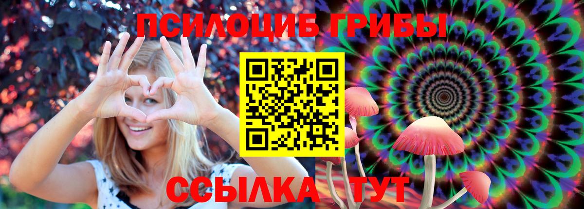 Усть-Кут  Псилоцибиновые грибы ЛСД  Вход с VPN 